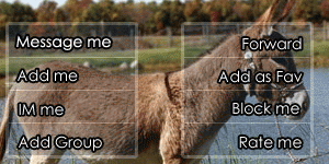 Donkey Contact Table