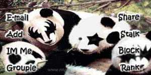 KISS Pandas