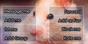 Mouse Contact Table