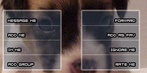 Puppy Contact Table