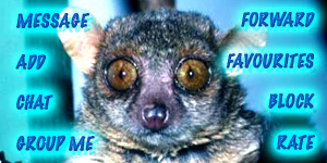 Tarsier Contact Table