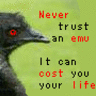 Never Trust An Emu