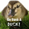 Go Suck A Duck