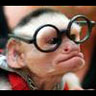 Monkey With Glasses