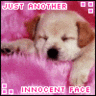 Innocent Face