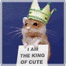 I Am The King Of Cute