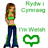 I'm Welsh / Rydw i Cymraeg