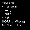 Wrong MSN Window