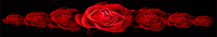 Red Roses