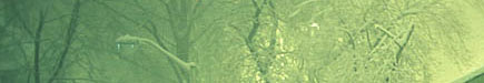Scenic Myspace Extended Network Banners