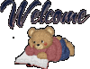 Welcome Teddy Bear