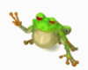 frog peace