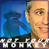 jon stewart not ur monkey