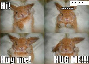 Lol Hug Me!