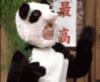 panda girl