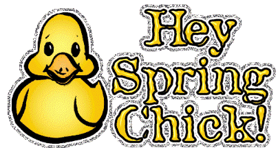 Hey Spring Chick