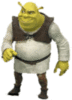 Shrek Animated