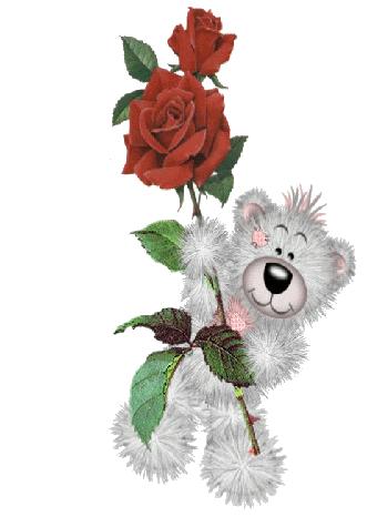 Teddy with a rose