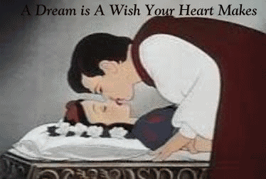 a dream is a wish ur heart mak..