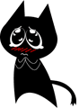 black cat -pity cry
