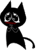 black cat -pity cry
