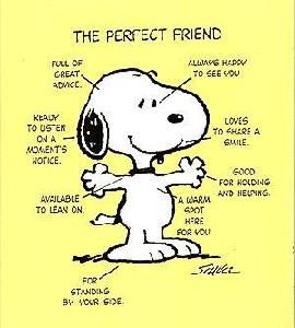 the perfect friend!