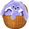 Bunny In Basket