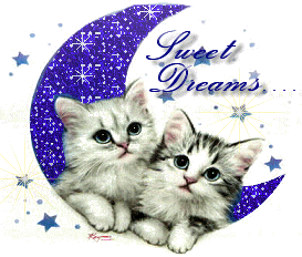 Sweet Dreams Cats