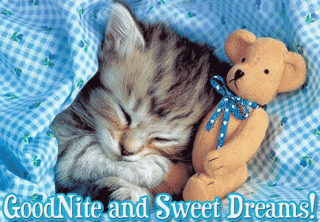 Goodnite And Sweet Dreams