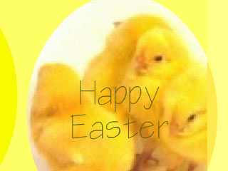 Happy Easter chicks