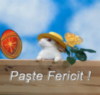 paste fericit