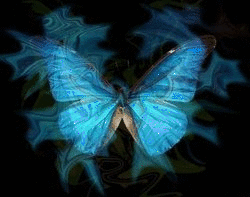 BLUE BUTTERFLY :: Fantasy :: MyNiceProfile.com