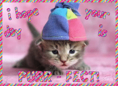 I hope your day is purr-fect