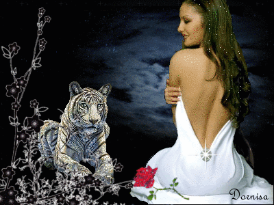 Beauty and tiger