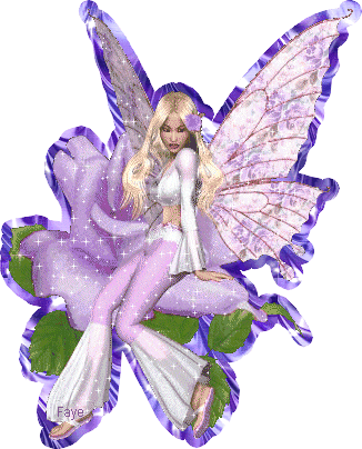 Flora Rose Fairy Purple