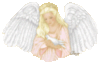 Glitter Angel Dove