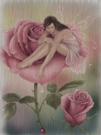 Rose fairy in the rain