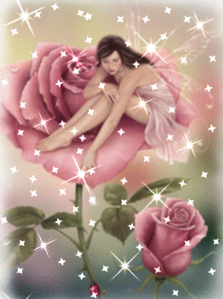 Rose fairy sparkles