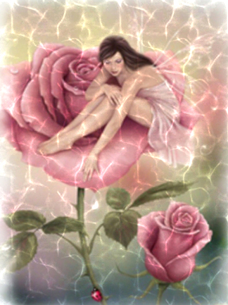 Rose fairy-water