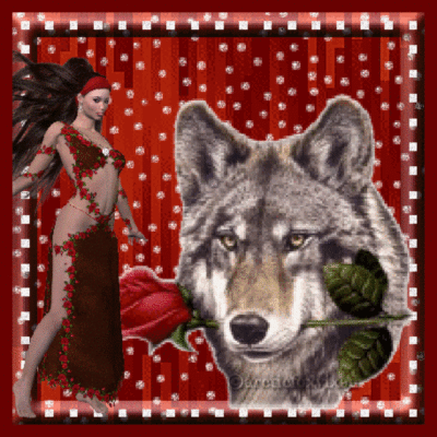 Sorceress & Wolf