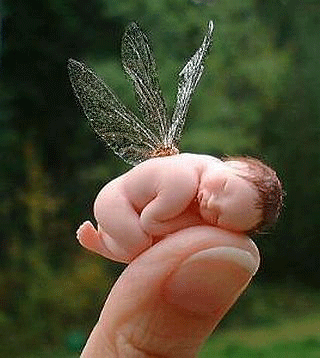 Baby fairy
