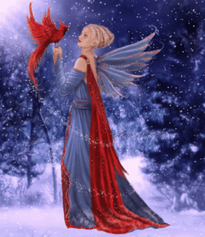 cardinal fairy