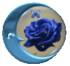 blue moon with rose