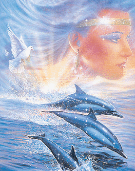 dolphins'angel