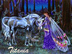 fairy and unicorn sparkle