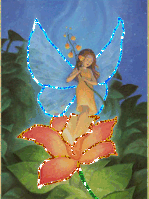 flower fairie