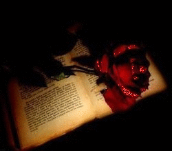 Goth book with rose glittered