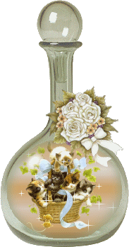 potion bottle fairy