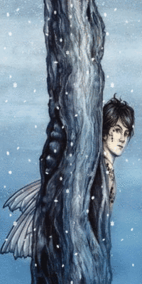winter fairy