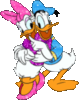 Donald & Daisy Duck